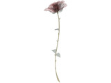 Red Rose 3D Model