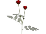 Red Rose 3D Model