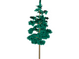 Redwood Tree 3D Model preview