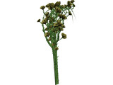 Rose Flower 3D Model preview