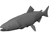 Salmon 3D Model preview