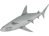 Sandbar Shark 3D Model
