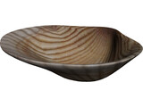 Sea Shell 3D Model preview