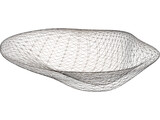 Sea Shell 3D Model