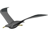 Seagull Flying 3D Model preview