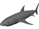 Shark White 3D Model preview