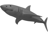 Shark White 3D Model