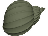 Shell Sea 3D Model preview