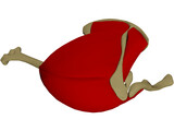 Shoulder 3D Model