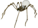 Spider 3D Model