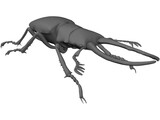 Stag Beetle 3D Model