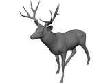 Stag 3D Model preview