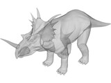Styracosaurus 3D Model