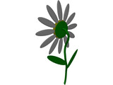 Sunflower 3D Model