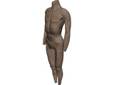 Surface Muscles 3D Model preview