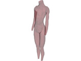 Surface Muscles 3D Model