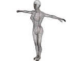 Swimmer Female 3D Model