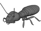 Termite 3D Model preview