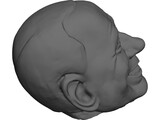 testa di Berlusconi Head 3D Model preview