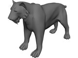 Tiger Saber Tooth 3D Model preview