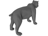 Tiger Saber Tooth 3D Model