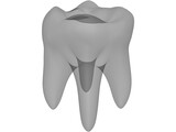 Tooth 3D Model