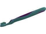 Toothbrush Common 3D Model