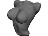 Torso Female Busty 3D Model preview