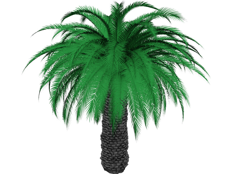 Tree 3D Model