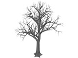 Tree 3D Model