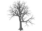Tree 3D Model