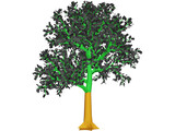 Tree 3D Model