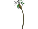 Tree Palm 3D Model preview