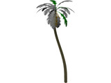 Tree Palm 3D Model
