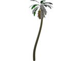 Tree Palm 3D Model