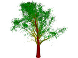 Tree 3D Model preview