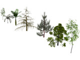 Trees Pack 3D Model preview