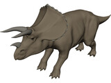 Triceratops 3D Model preview