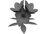Tutuzi 3D Model preview
