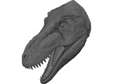 Tyrannosaurus Rex Head 3D Model preview