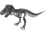 Tyrannosaurus Rex Skeleton 3D Model preview