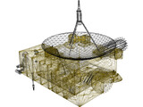 Ulysses ESA Sun Probe 3D Model