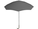 Umbrella 3D Model
