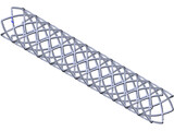 Vascular Stent 3D Model