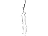 Veins and Arteries Lower 3D Model preview