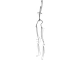 Veins and Arteries Lower 3D Model