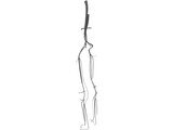 Veins and Arteries Lower 3D Model