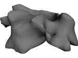 Vertebra 3D Model preview