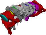 Vertebrae Cervical 3D Model preview