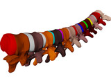 Vertebrae Thoracic 3D Model preview